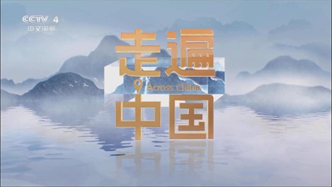 媒体聚焦：央视《新质引擎》揭秘上海壹定发官网匠造全球最大乐高乐园